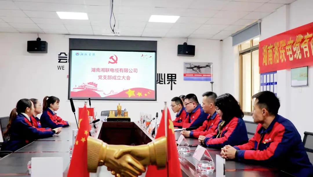 新征程 | 熱烈祝賀湖南湘聯(lián)電纜有限公司黨支部正式成立！