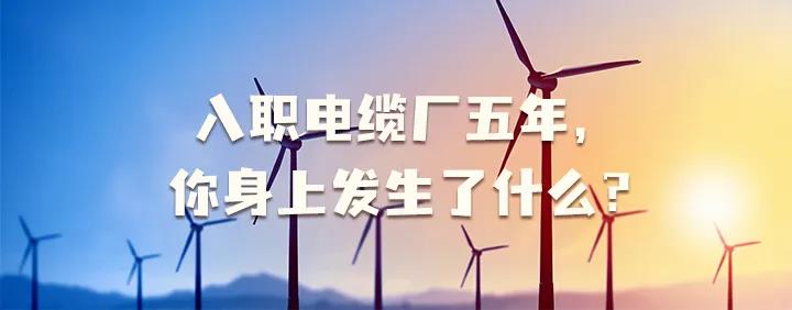入職電纜廠五年，你身上發(fā)生了哪些變化~