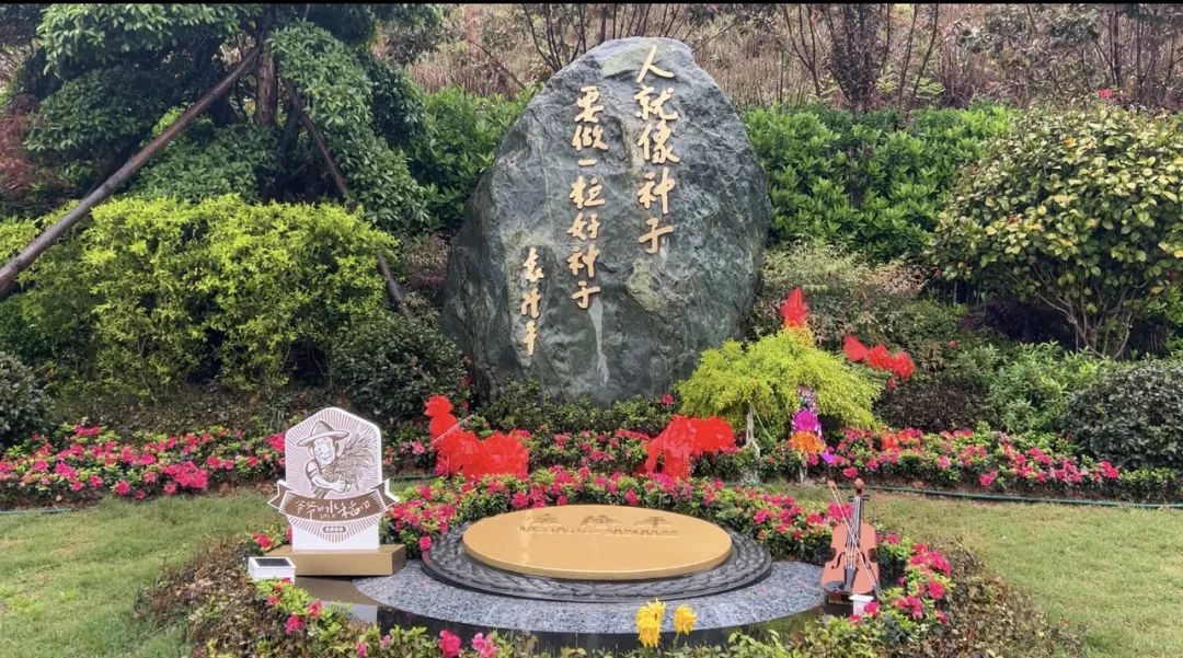 禾下乘涼夢(mèng)，一稻一人生 我們永遠(yuǎn)懷念袁爺爺 #安全用電你我湘聯(lián)